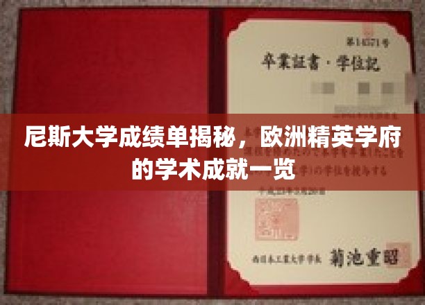 欧洲精英学府尼斯大学，一窥学术成就的秘密面纱