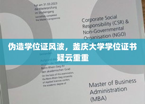 伪造学位证风波，釜庆大学学位证书疑云重重