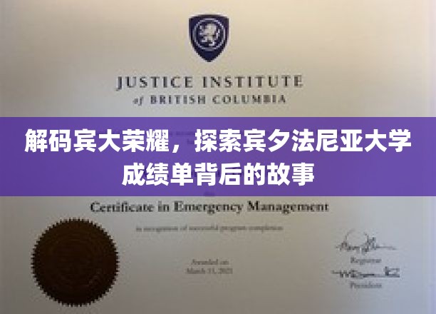 宾大传奇，揭秘学子辉煌背后的秘密历程