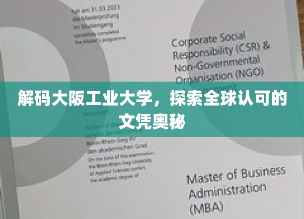 揭秘大阪工业大学，国际认可的文凭背后之路