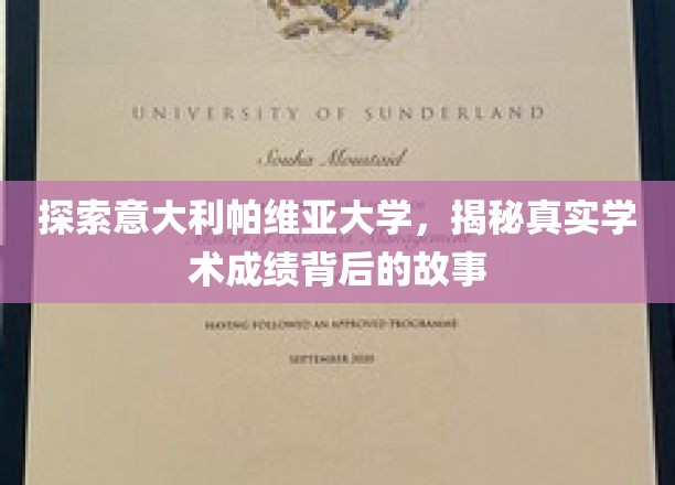 探访意大利帕维亚大学，揭秘学术成绩背后的真实故事