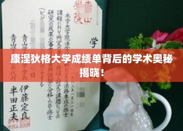 揭开康涅狄格大学成绩单的学术面纱，隐藏的秘密与成就之道