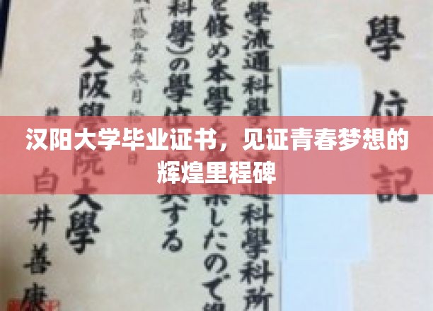 青春印记，汉阳大学证书，点亮梦想征程的璀璨灯塔