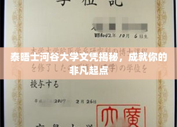 泰晤士河谷大学文凭背后的非凡力量，开启卓越人生新征程