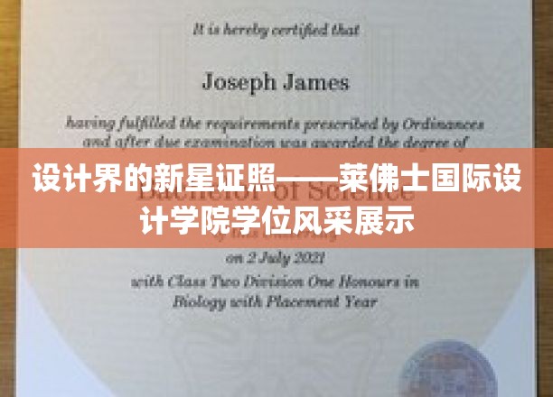 设计界的新星证照——莱佛士国际设计学院学位风采展示