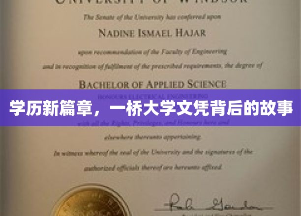 一桥大学文凭背后的传奇，揭开学历新纪元的神秘面纱