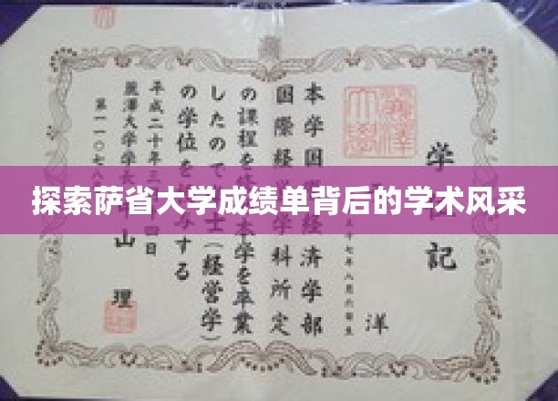 解锁萨省大学成绩单，揭秘学术精英的风采与成就