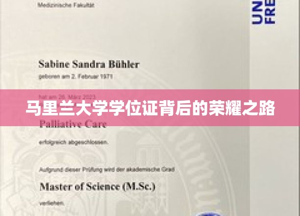 马里兰大学学位证，探寻荣耀背后的奋斗足迹