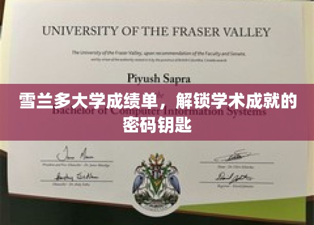 雪兰多大学成绩单，解锁学子辉煌成就的神秘钥匙