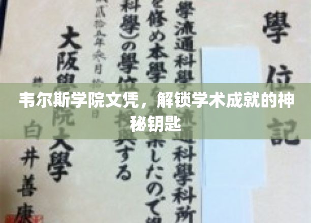 解锁学术巅峰，韦尔斯学院文凭的非凡力量