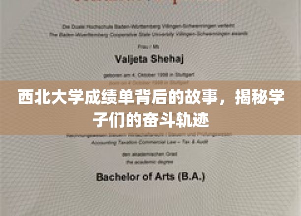 西北大学学子奋斗足迹，揭开成绩单背后的感人篇章