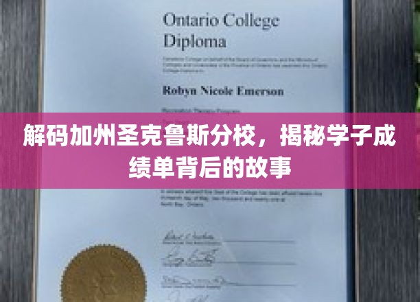 解码加州圣克鲁斯分校，揭秘学子成绩单背后的故事