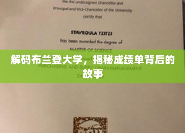 解码布兰登大学，揭秘成绩单背后的故事