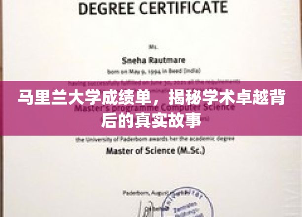 马里兰大学卓越之路，揭开成绩单背后的精彩篇章