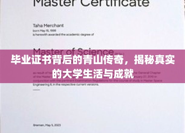 毕业证书背后的青山传奇，揭秘真实的大学生活与成就