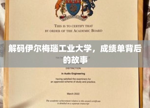 揭开伊尔梅瑙工业大学学子辉煌背后的秘密