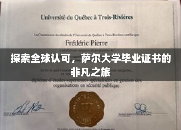 解锁国际舞台，萨尔大学文凭的璀璨足迹