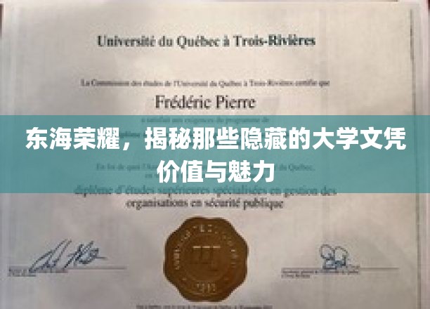 东海荣耀，揭秘那些隐藏的大学文凭价值与魅力