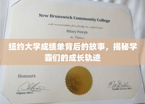 纽约大学成绩单背后的故事，揭秘学霸们的成长轨迹