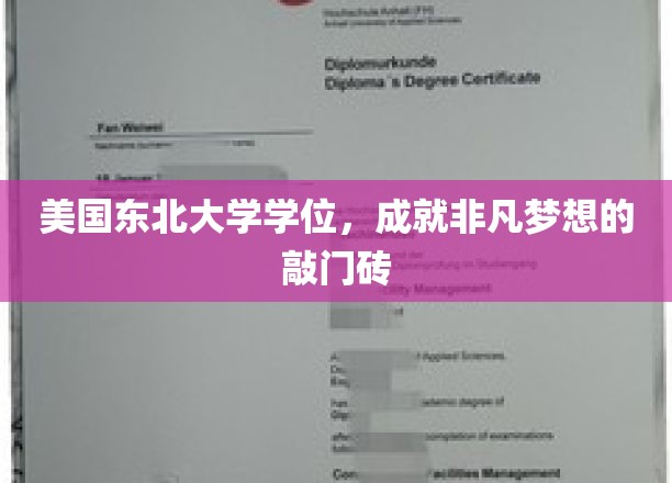 东北大学学历，解锁非凡梦想之门！