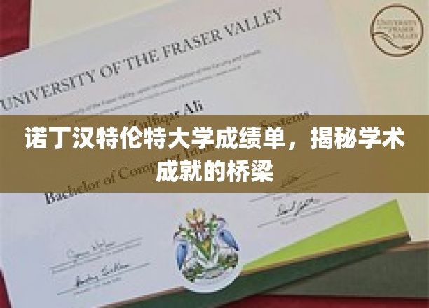 诺丁汉特伦特大学成绩单,揭秘学术成就的桥梁