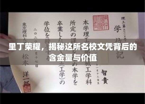 里丁荣耀，揭秘这所名校文凭背后的含金量与价值