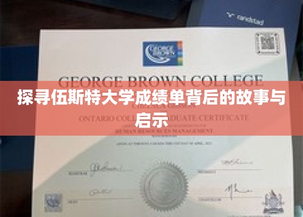 探寻伍斯特大学成绩单背后的故事与启示