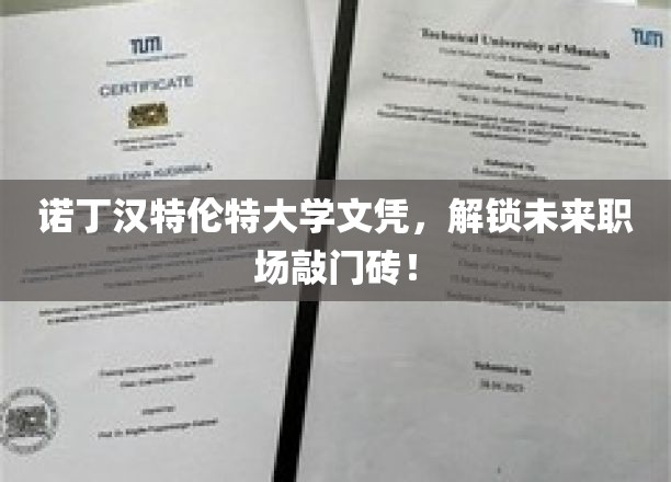 诺丁汉特伦特大学文凭，开启未来职场新篇章！
