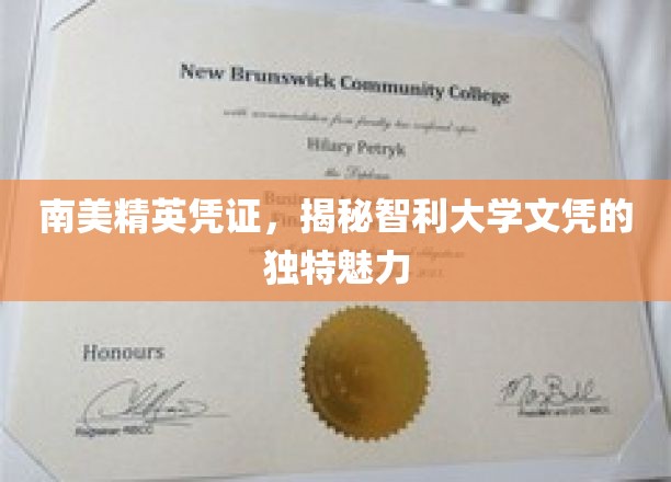 南美精英凭证，揭秘智利大学文凭的独特魅力