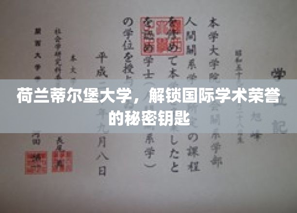 欧洲学术殿堂的秘密之门，蒂尔堡大学国际荣耀背后的钥匙