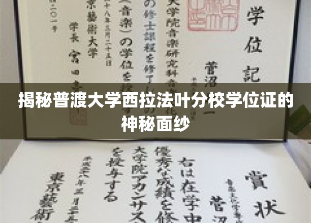 探索普渡大学西拉法叶分校学位证的非凡内涵