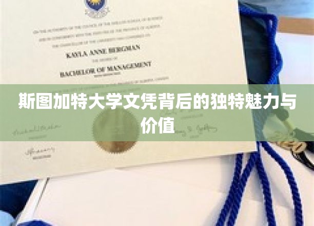 探寻斯图加特大学文凭的非凡吸引力与深层价值