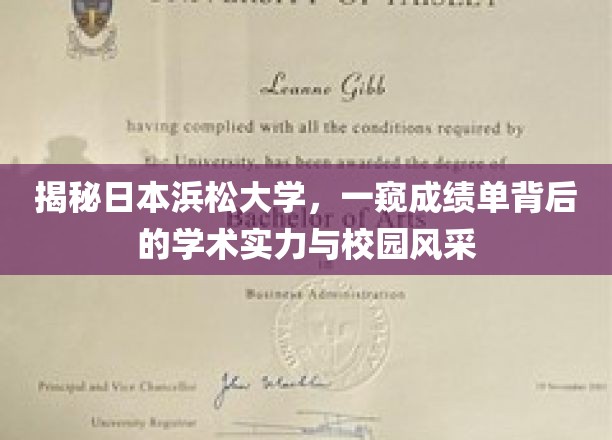 一探究竟：日本浜松大学，揭秘其成绩单背后的学术实力与校园风貌