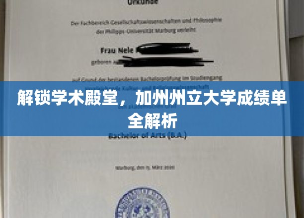 探秘加州州立大学，深度解读成绩单背后的学术奥秘