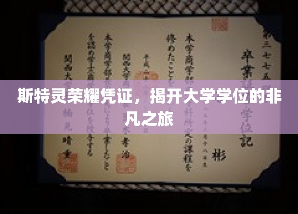斯特灵荣耀凭证，启幕大学学位的非凡篇章