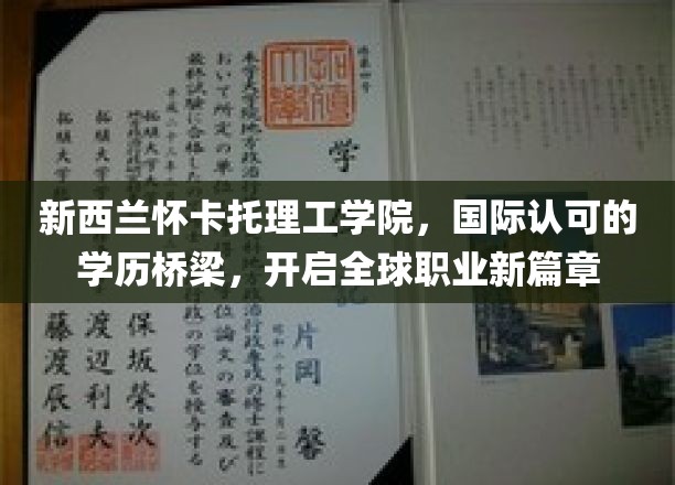 新西兰怀卡托理工学院，国际认可的学历桥梁，开启全球职业新篇章