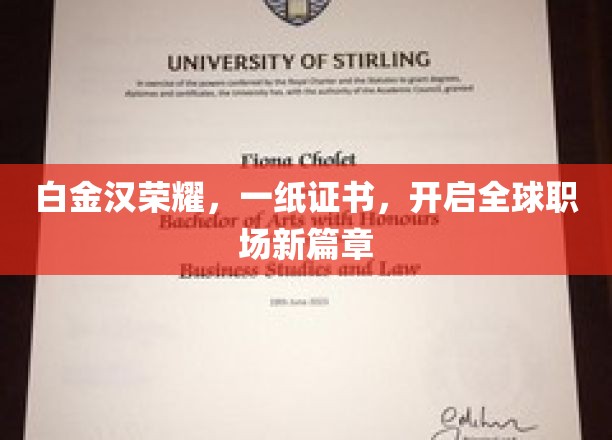 白金汉荣耀证书，引领职场新纪元