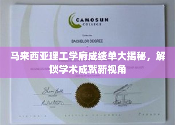 马来西亚理工精英榜，揭秘学府辉煌成果与学术新动向