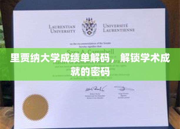 解锁里贾纳大学成绩单，揭秘学术成就的神秘钥匙