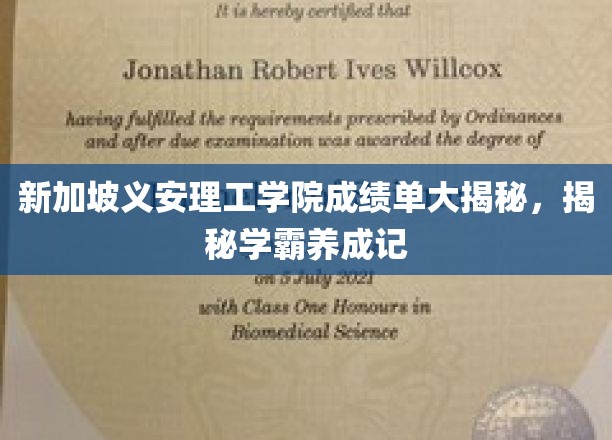 新加坡义安理工学院成绩单大揭秘，揭秘学霸养成记