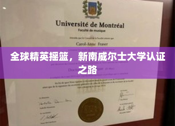国际精英孵化器，新南威尔士大学认证之旅揭秘