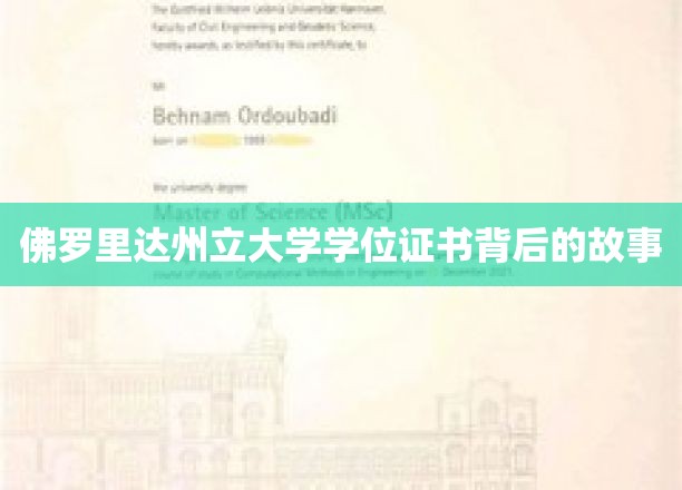 揭秘，佛罗里达州立大学学位证书背后的传奇历程