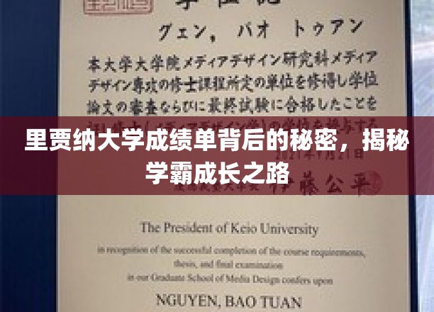 里贾纳大学成绩单背后的秘密，揭秘学霸成长之路