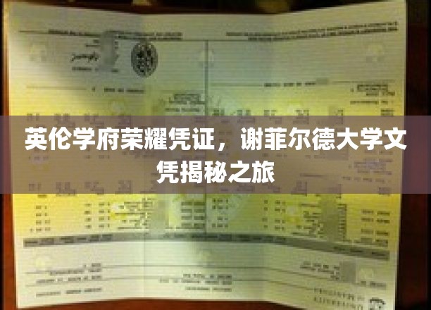 探寻谢菲尔德大学荣耀凭证，一纸文凭背后的英伦学府传奇