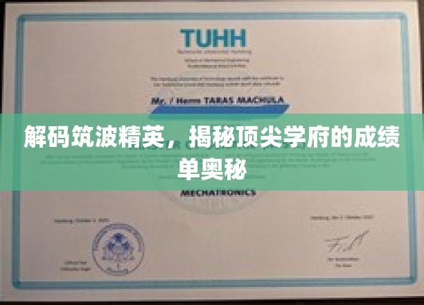 解码筑波精英，揭秘顶尖学府的成绩单奥秘