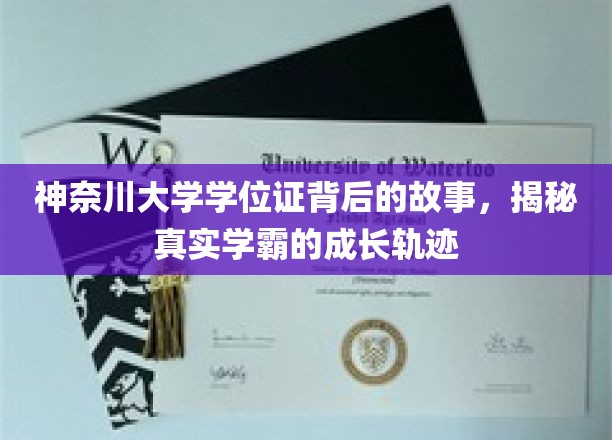 学霸足迹，神奈川大学学位证背后的非凡成长之旅