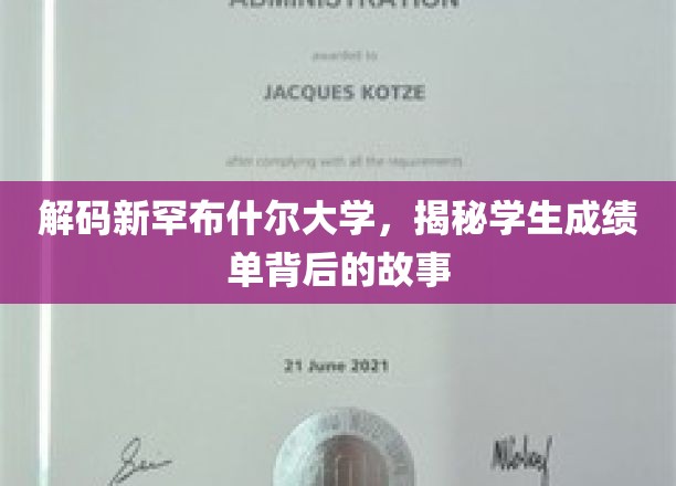探寻新罕布什尔大学成绩单背后的秘密世界