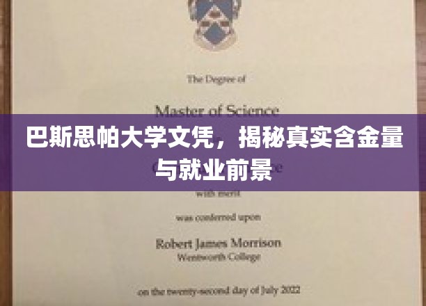 巴斯思帕大学文凭，揭秘其价值与未来职场潜力