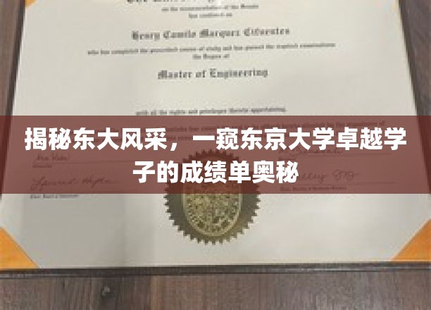 揭秘东大风采，一窥东京大学卓越学子的成绩单奥秘