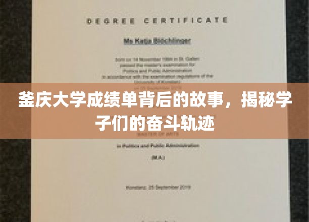 釜庆大学成绩单背后的故事，探寻学子们的奋斗足迹